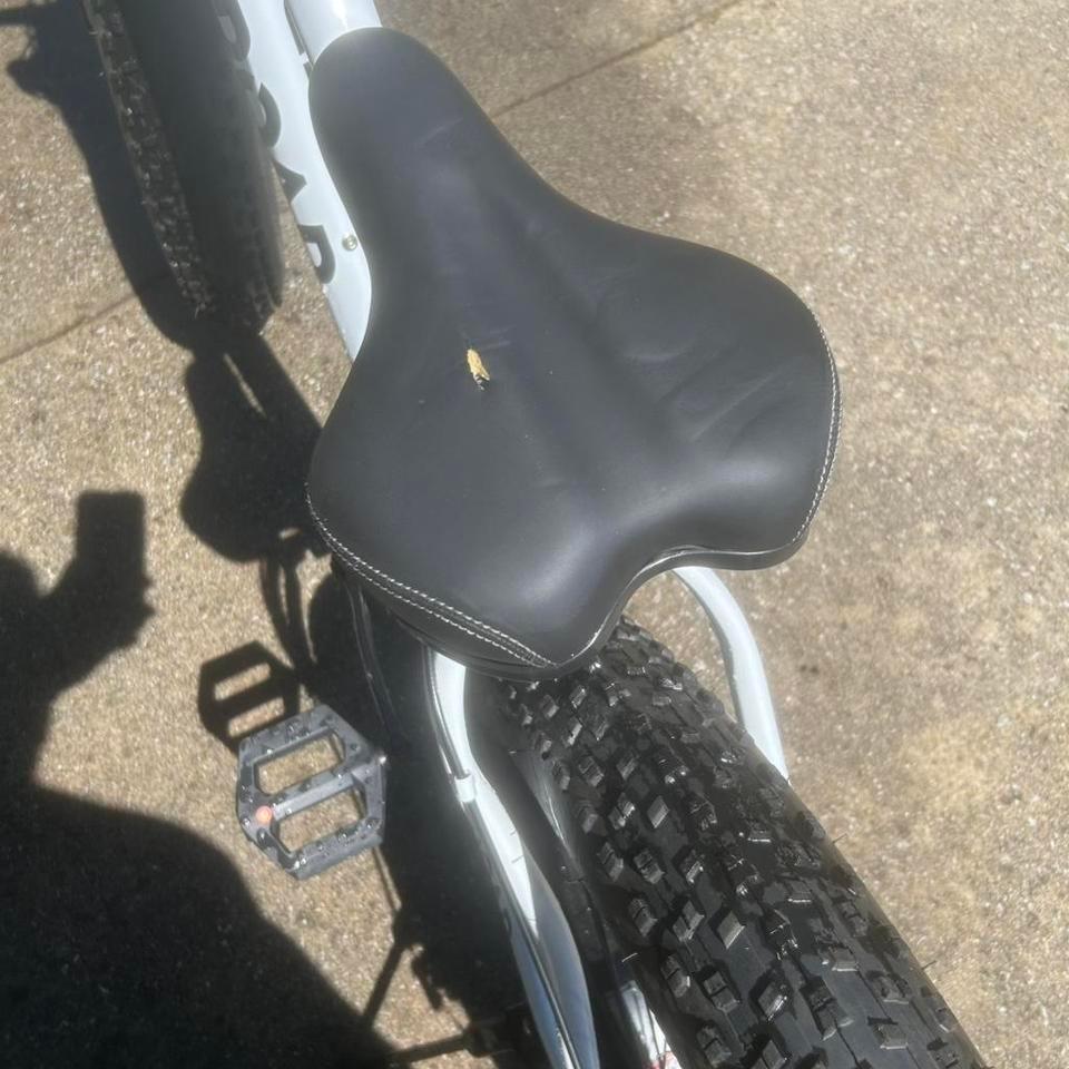 This Out Door Mountain Bike A961 3