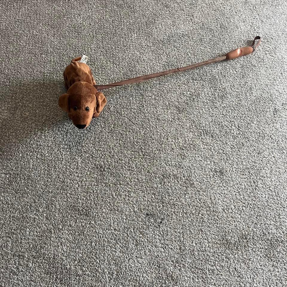 Walking And Dancing Dog Toy 2