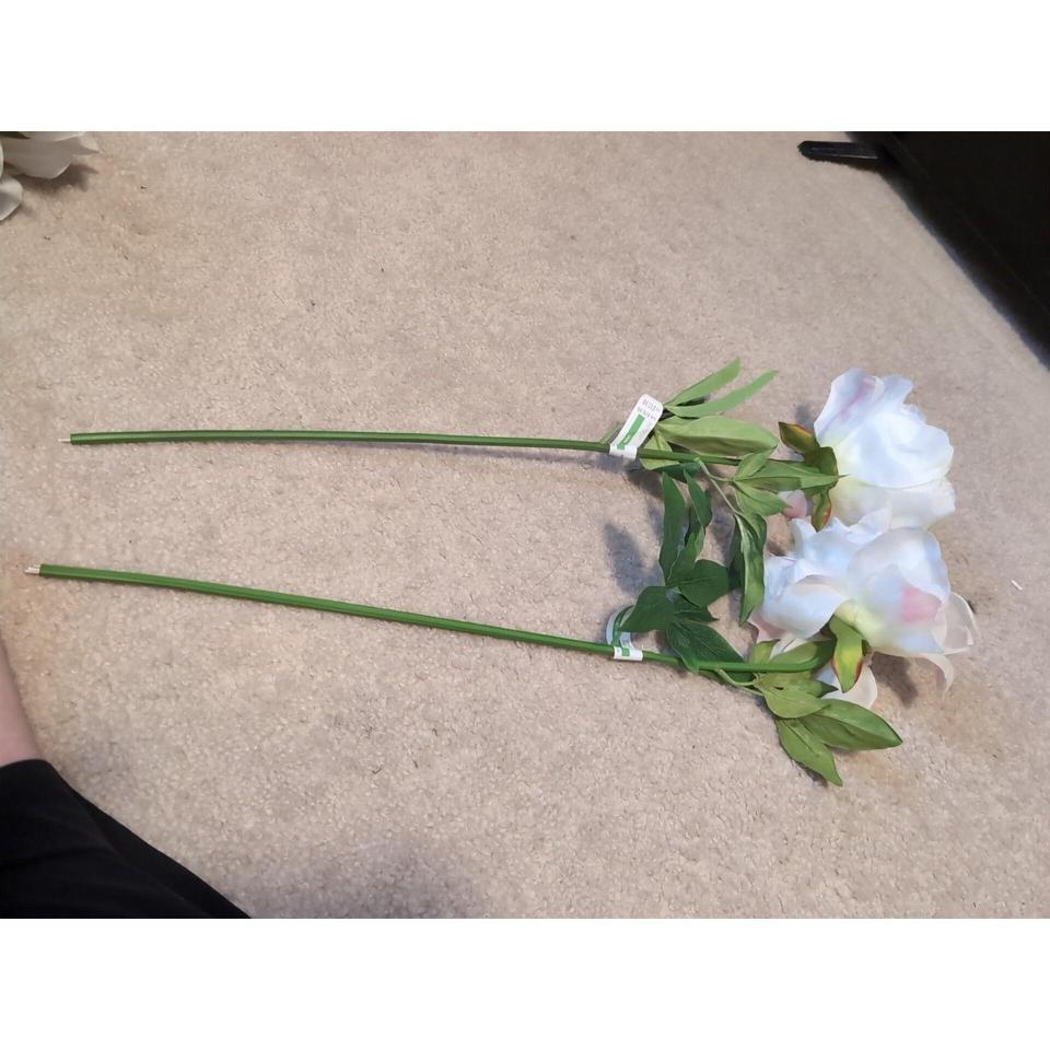 The White Peony 20 Floral 79a3 6