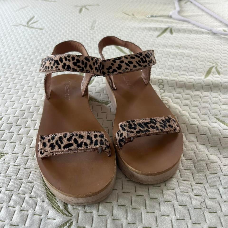 Cat Jack Leopard Print 2456 6