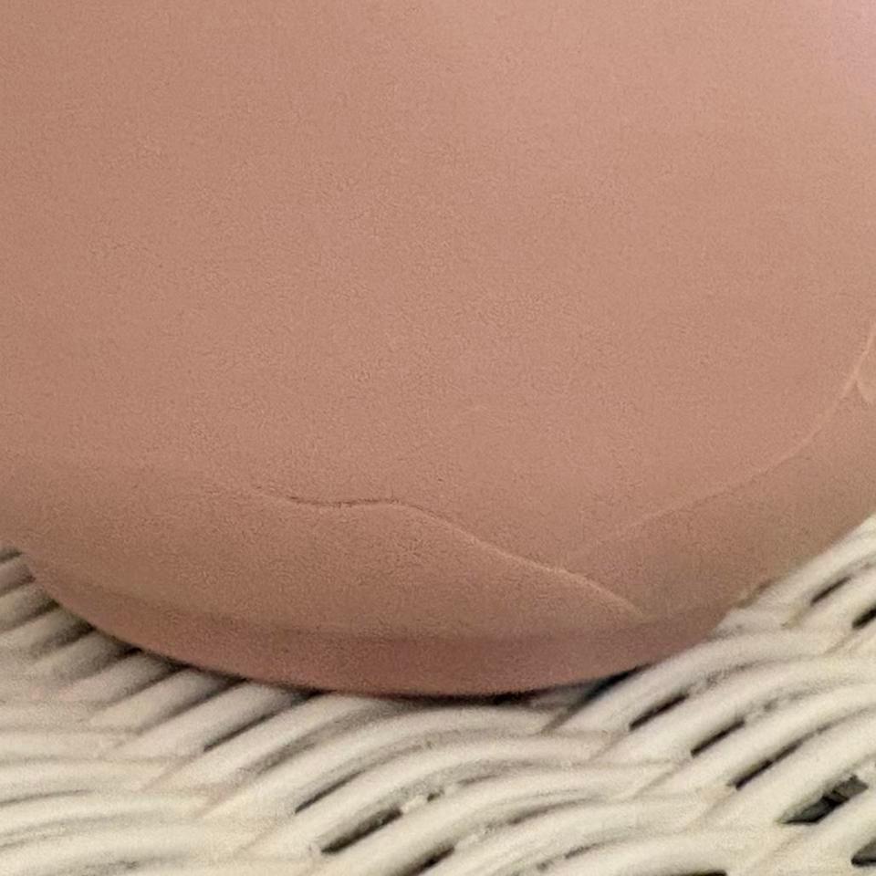 Pink Ceramic Pot With Monstera F80f 8