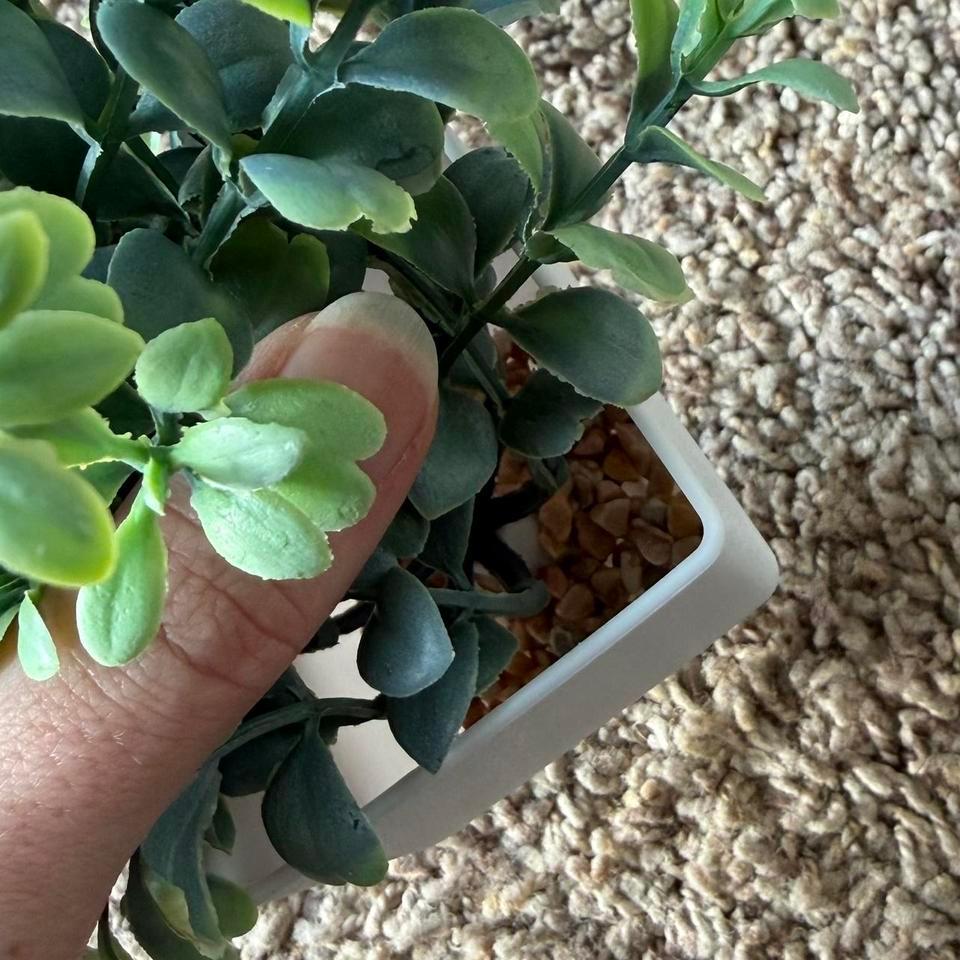 Tiny Leafy Faux Succulent Bookshelf B639 4