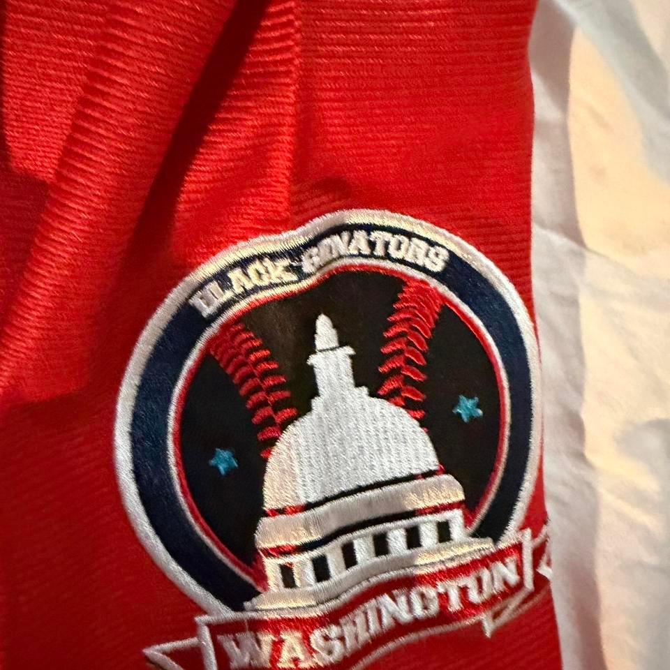 Headgear Classics Washington Elite Giants 3