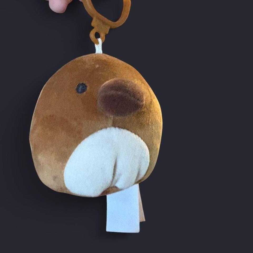 Squishmallow Keychain F5be 3