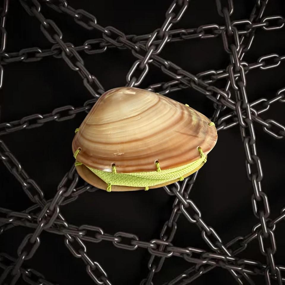 Shell Pouch With Zipper Handmade