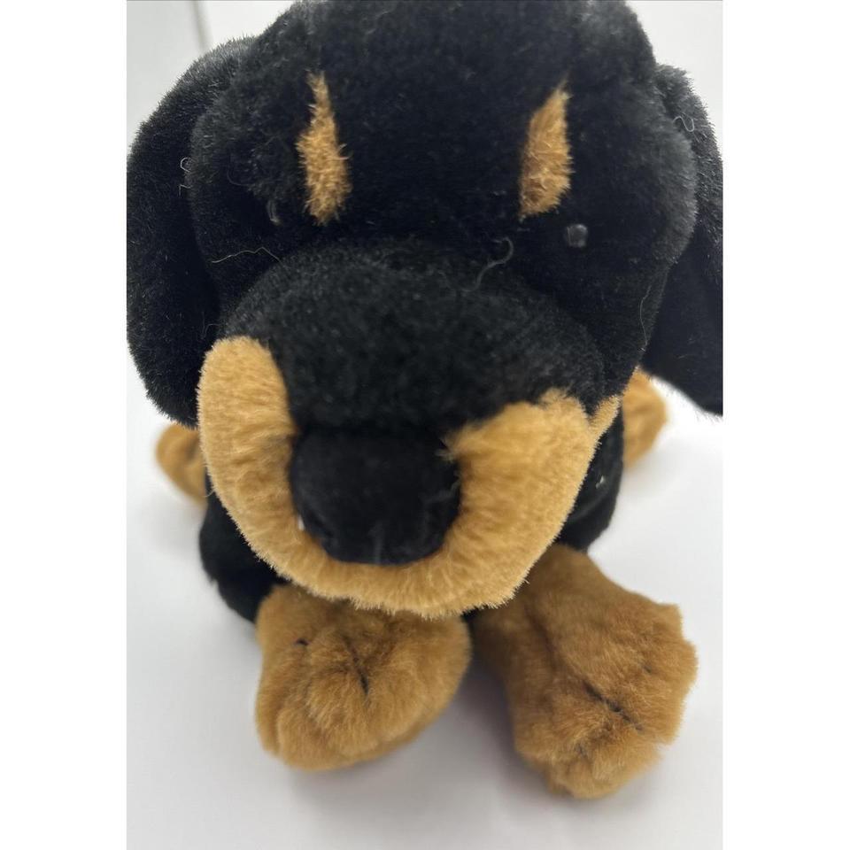 Applause Dakin Pampered Pets Rocky 8cf2 2
