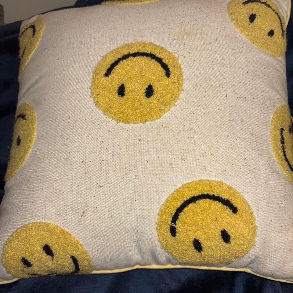 Used Like New Throw Pillow B835 2