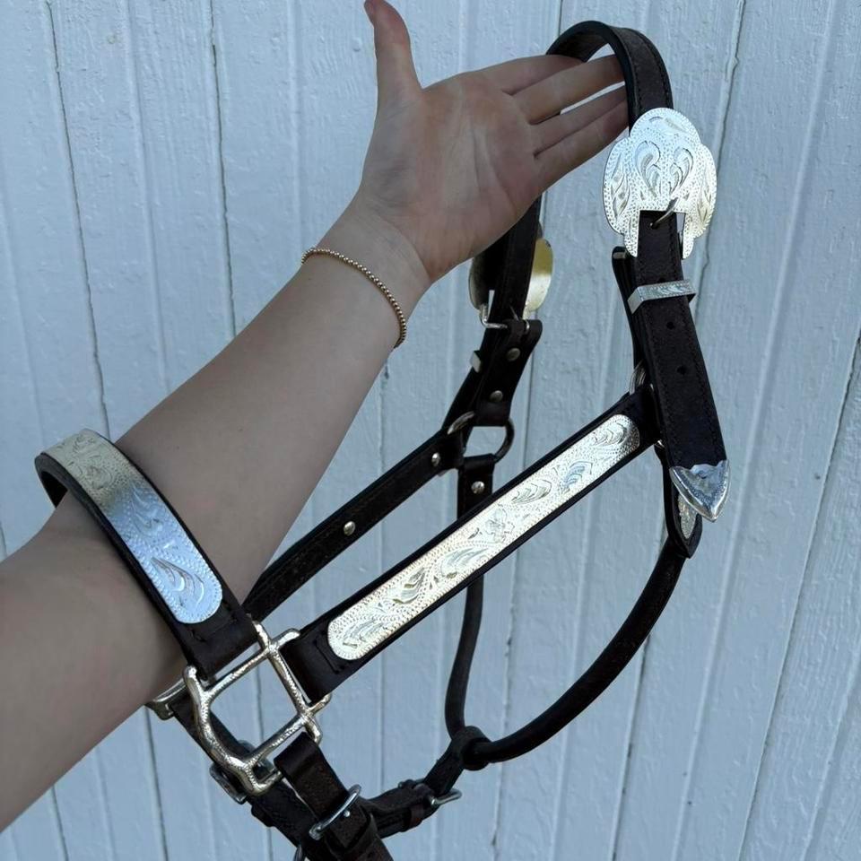 Western Show Halter Low Quality C153
