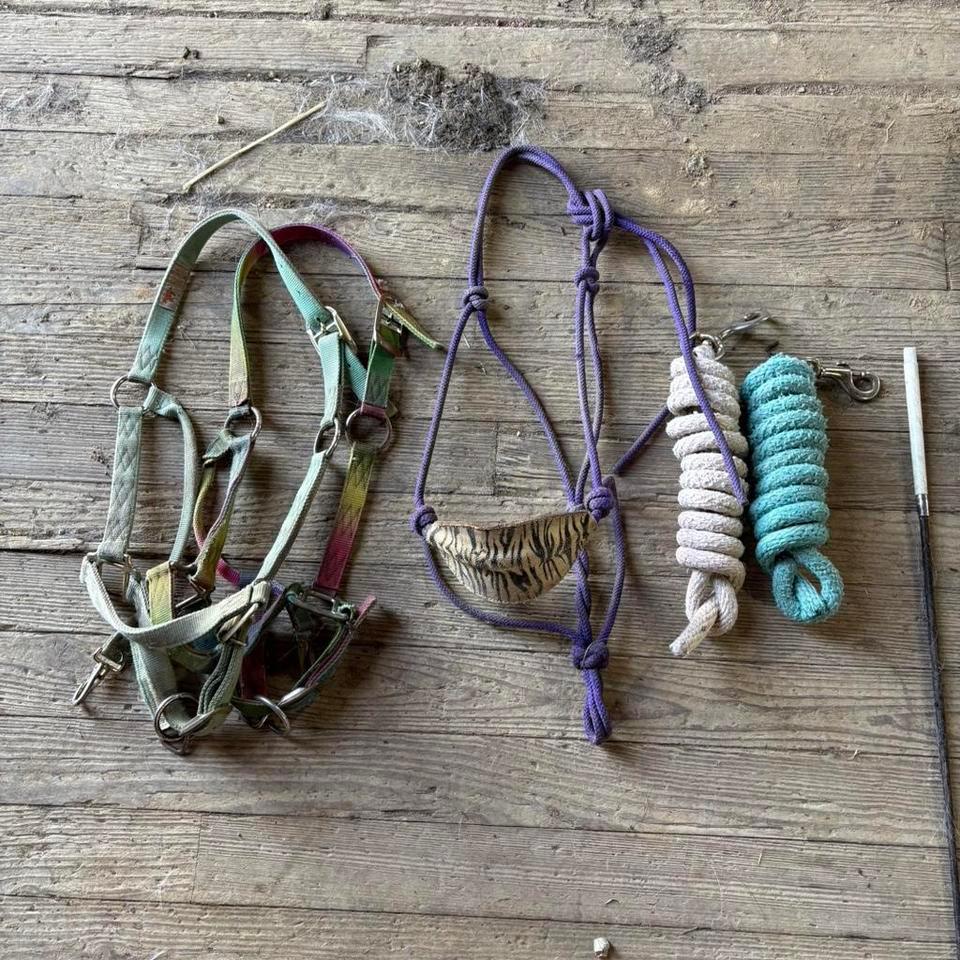 Horse Halters And Lead Ropes 193c