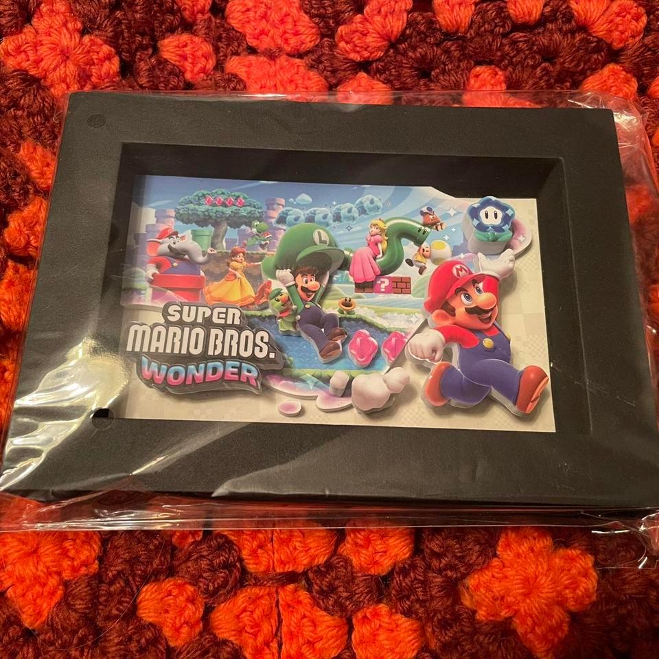 Super Mario Bros Wonder Collectible
