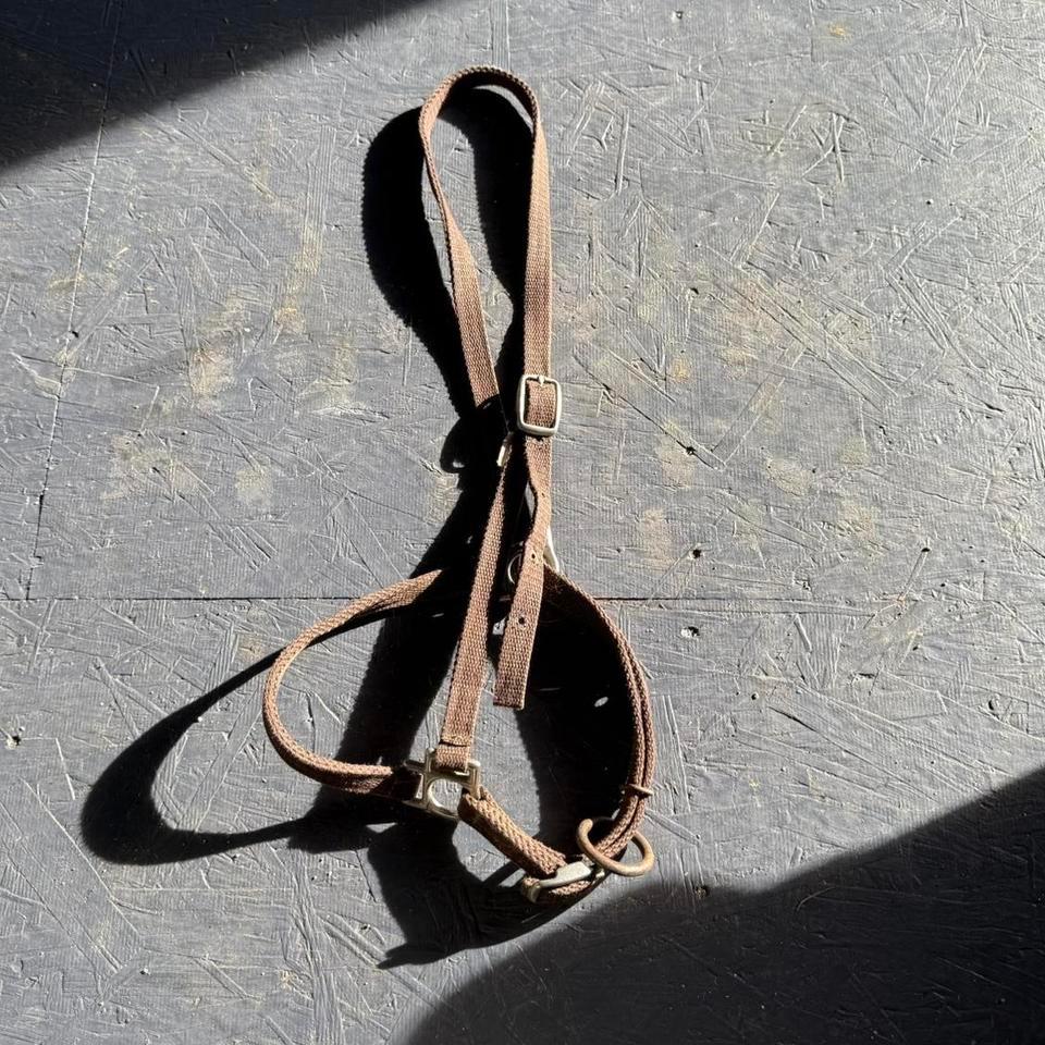 Grooming Clipping Halter