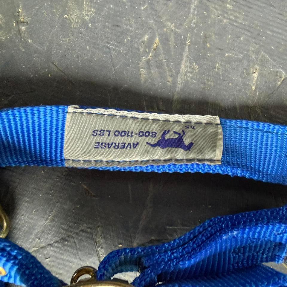 Hamilton Royal Blue Average Halter De7c 2