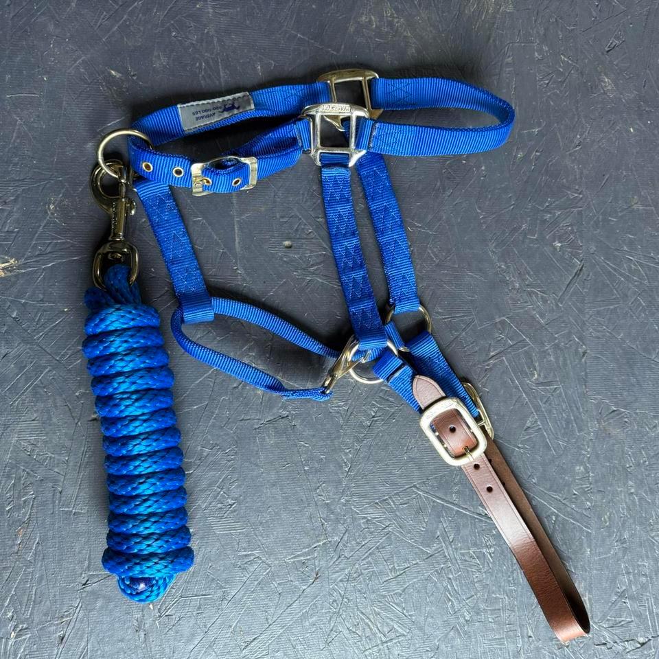 Hamilton Royal Blue Average Halter De7c