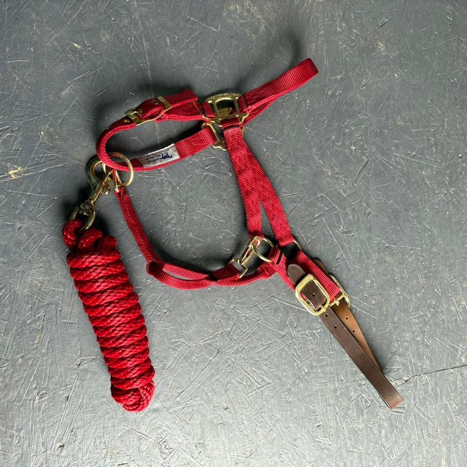 Hamilton Average Red Halter With Be23