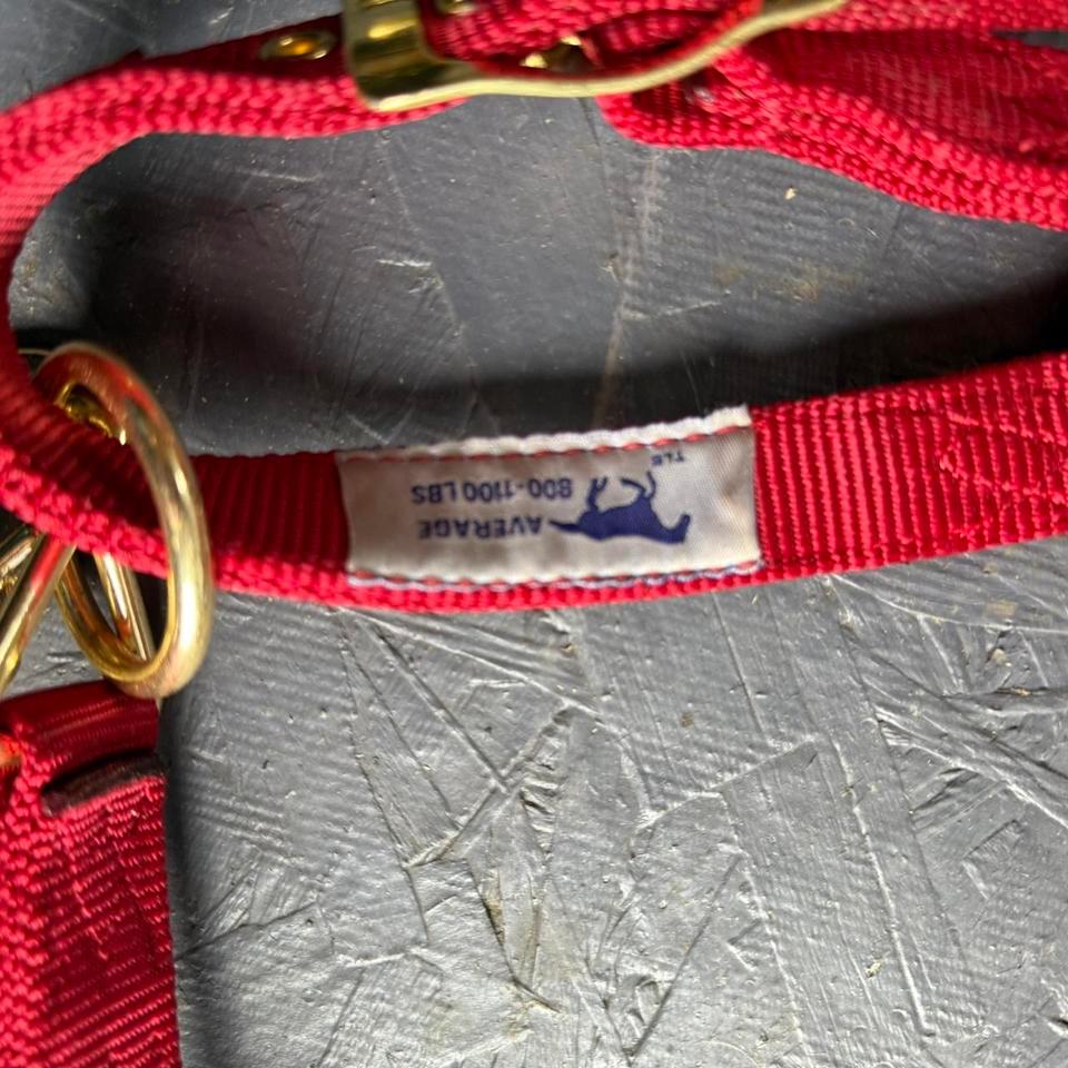 Hamilton Average Red Halter With Be23 2