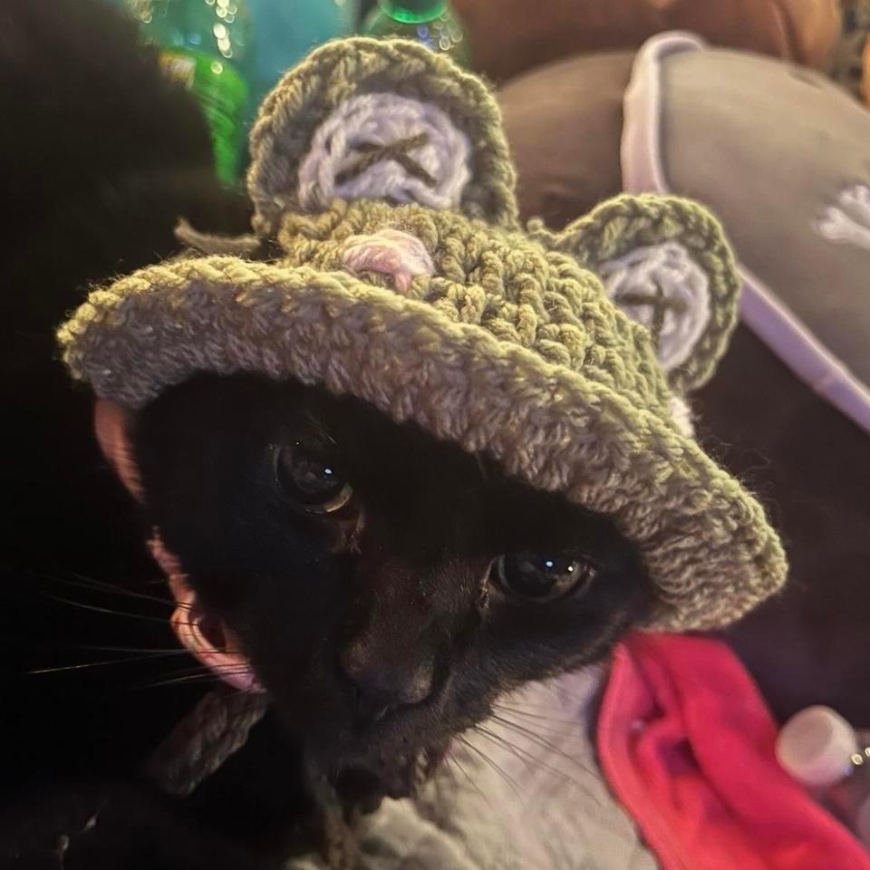 Cute Frogtoad Cat Hat Message 89f0 2