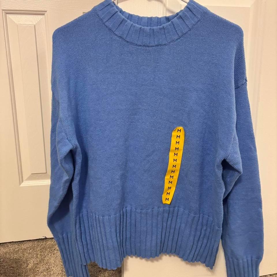 Gap Blue Sweater Size M 5043