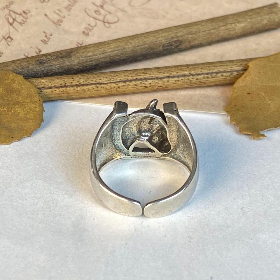 Horse Head With Horseshoe Ring B82f 3