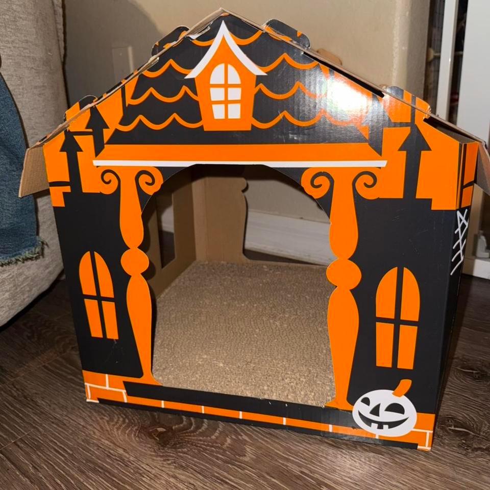 Spooky Cat Scratcher Cat Goth 586c 4