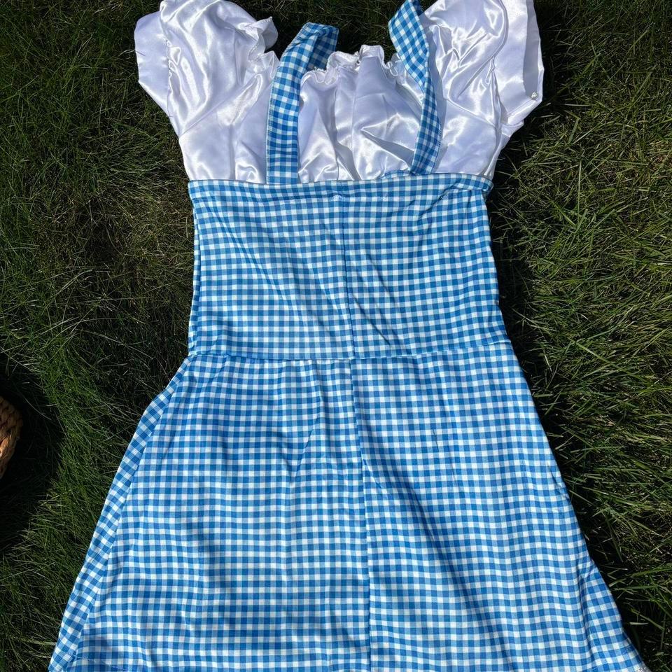 Dorothy Halloween Set Dress Basket 6