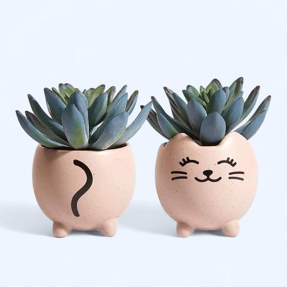 Purrfect Planter The Purrfect Planter B8b2 7
