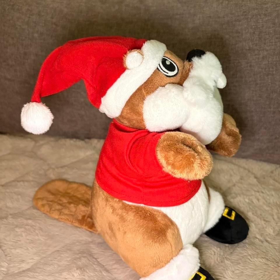 Buc Ees Santa Plush Toy Limited 63d6 2