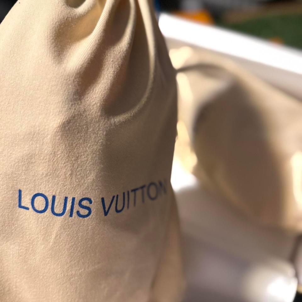 Louis Vuitton Skate Sneaker Size 4675 5