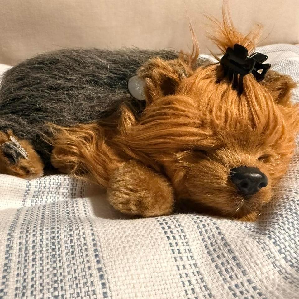 Perfect Petzzz Yorkshire Terrier Plush Ad9a