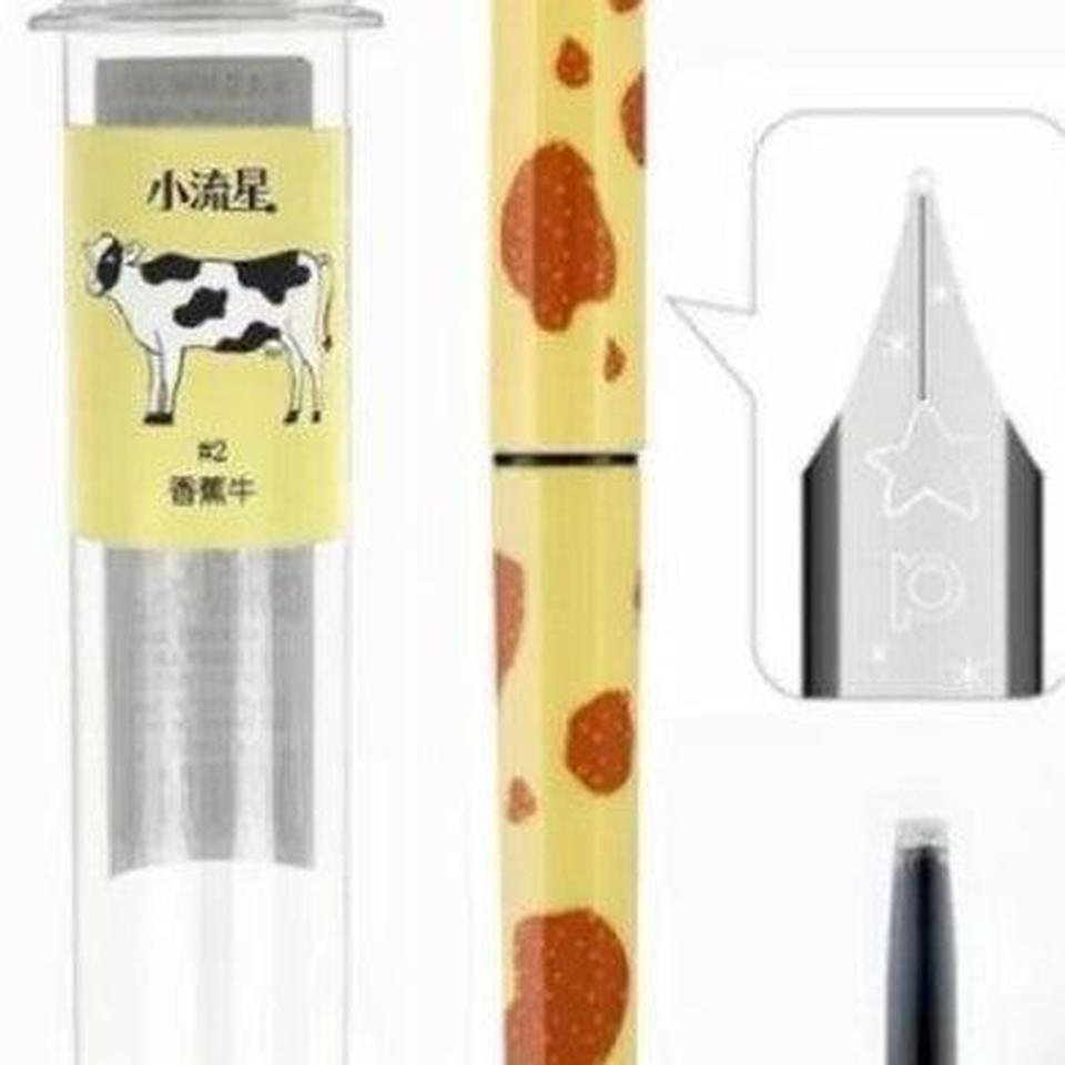 Fountain Pen New Nib Size 8bef 6