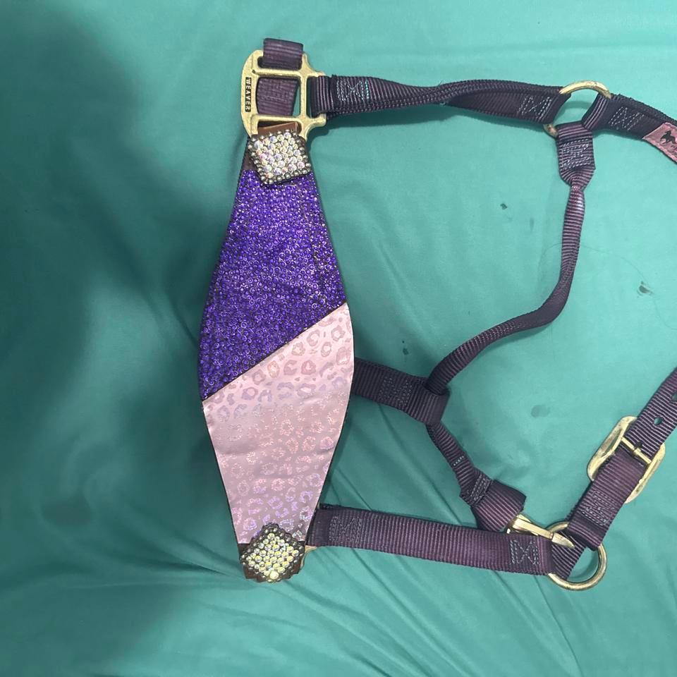 Purple Rhinestoned Bronc Nose Halter 8cab