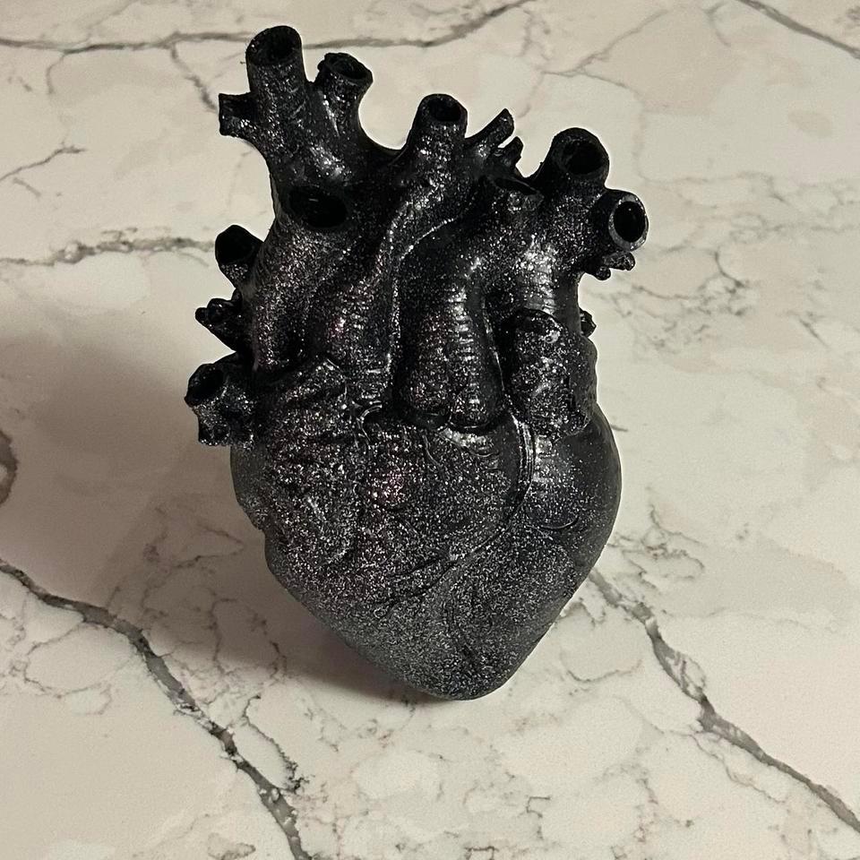 Anatomical Heart Made Of Resin 4127