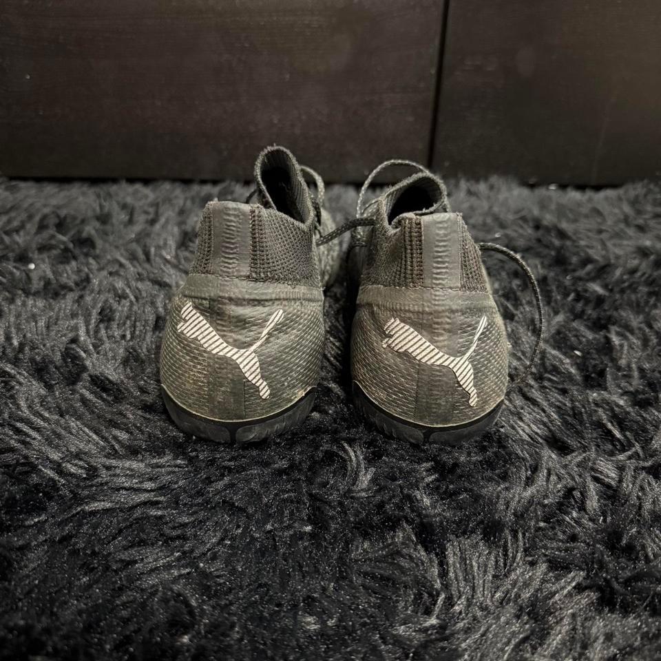 Grey Puma Future Ultimate Fg 3