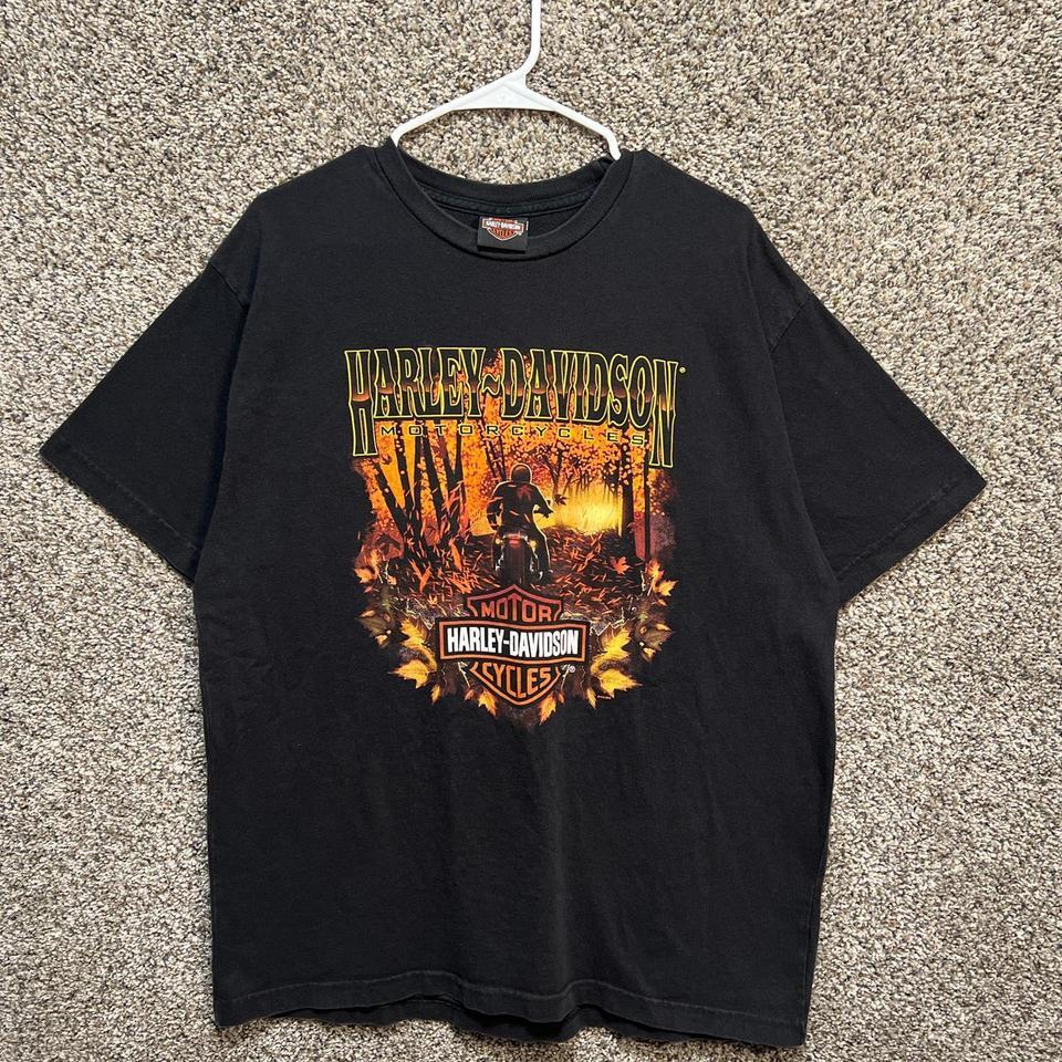 2000s Harley Davidson Black And Bddd