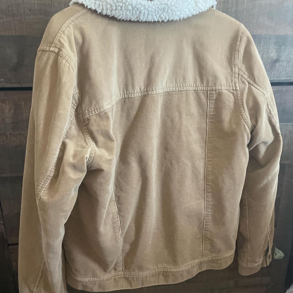 Tan Khaki Size Large Fur 3