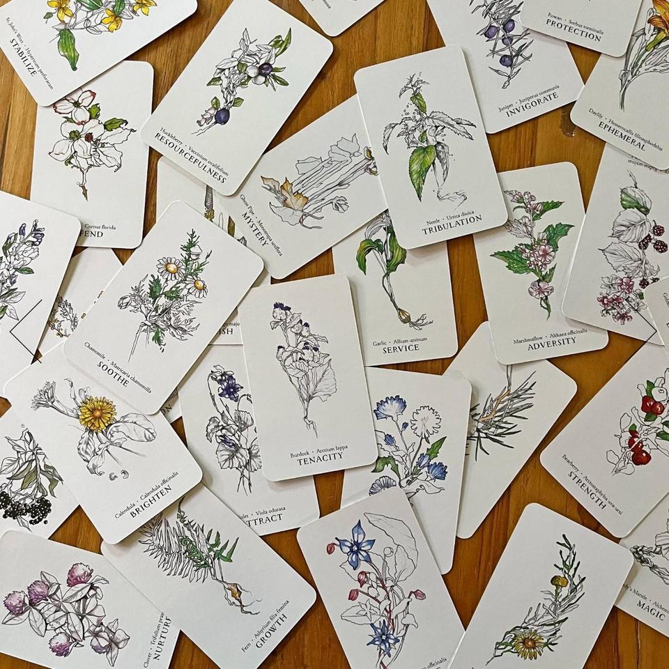 Botanical Oracle By Siolo Thompson 8