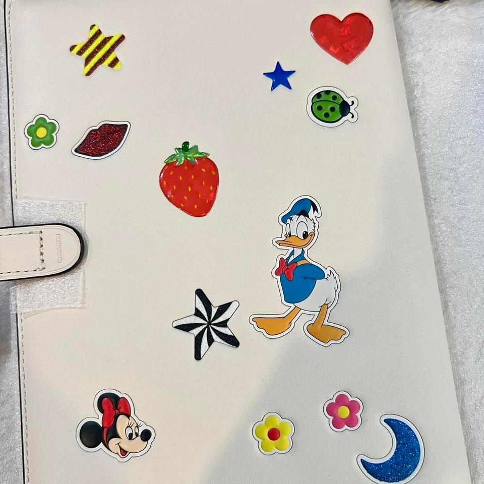 Limited Edition Coach X Disney 4