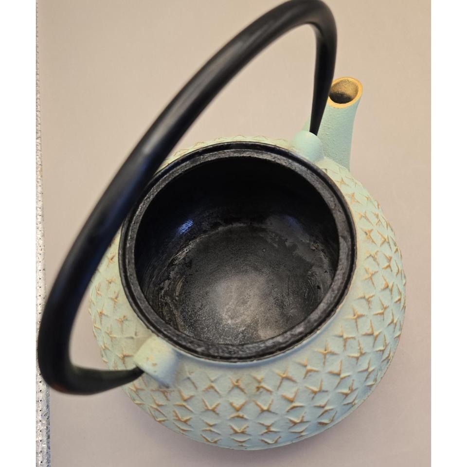 Cast Iron Tea Brewingpot Mint D54c 3