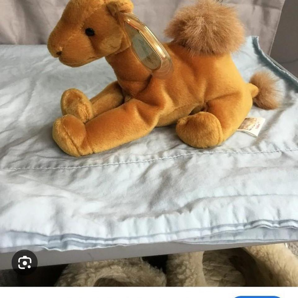 1998 Niles The Camel Beanie