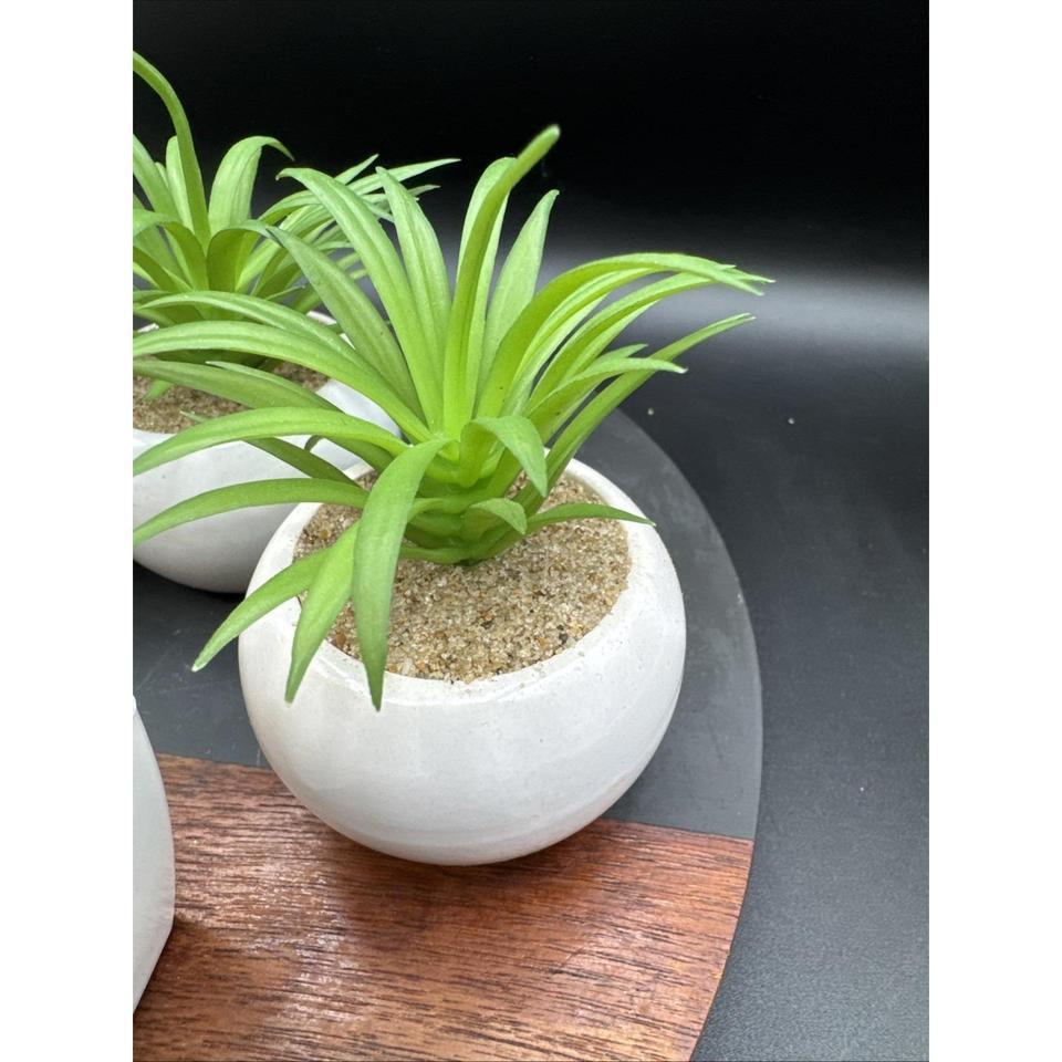 Faux Succulent Plant Set Desk 4c5d 6