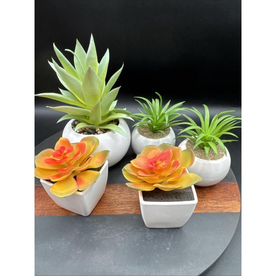 Faux Succulent Plant Set Desk 4c5d