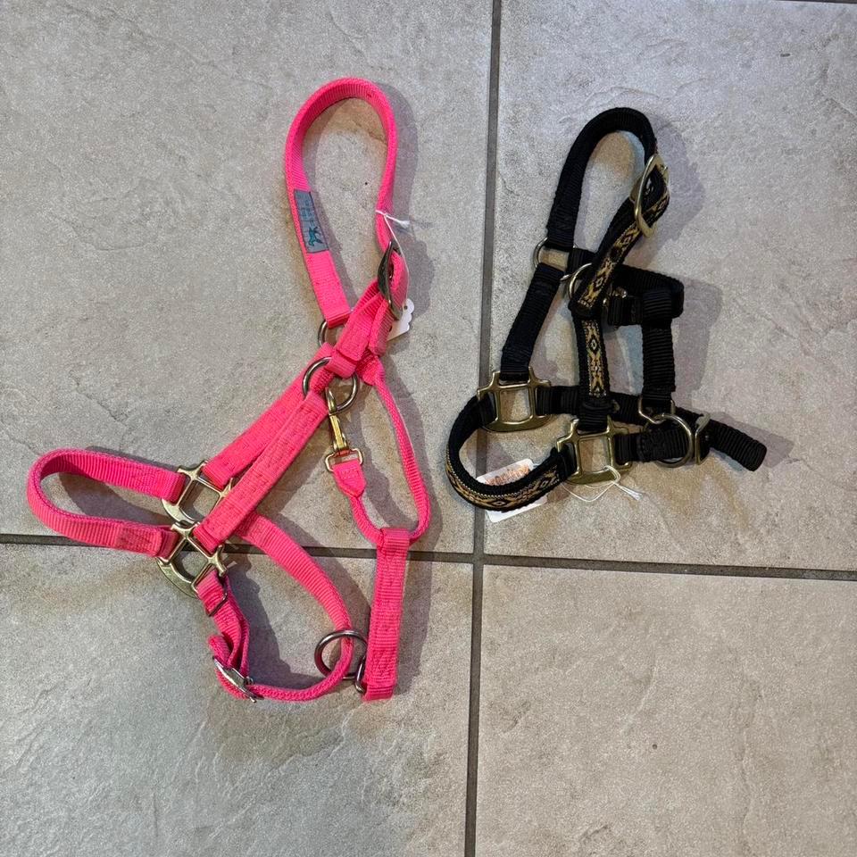 Baby Horse Halters The Pink B037