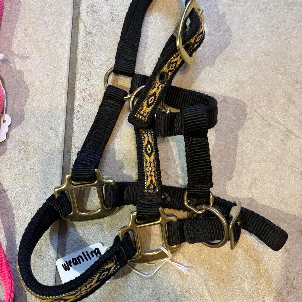 Baby Horse Halters The Pink B037 2