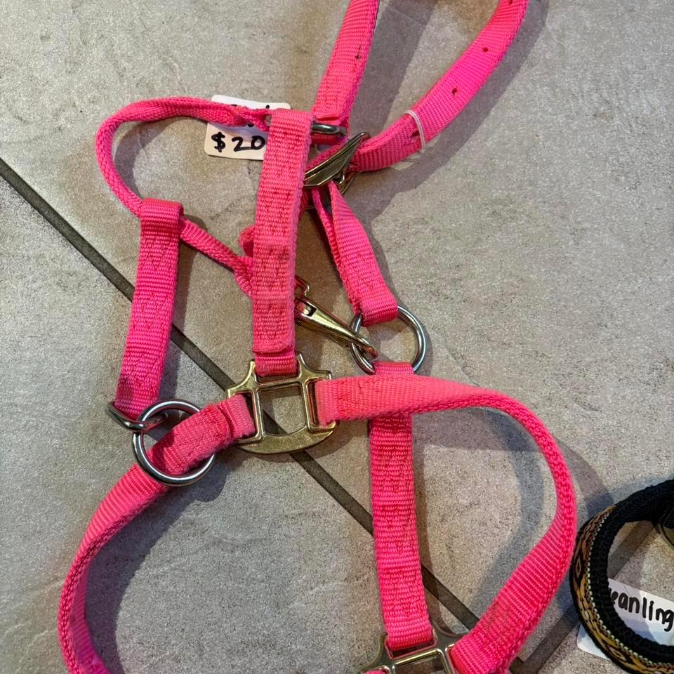 Baby Horse Halters The Pink B037 6