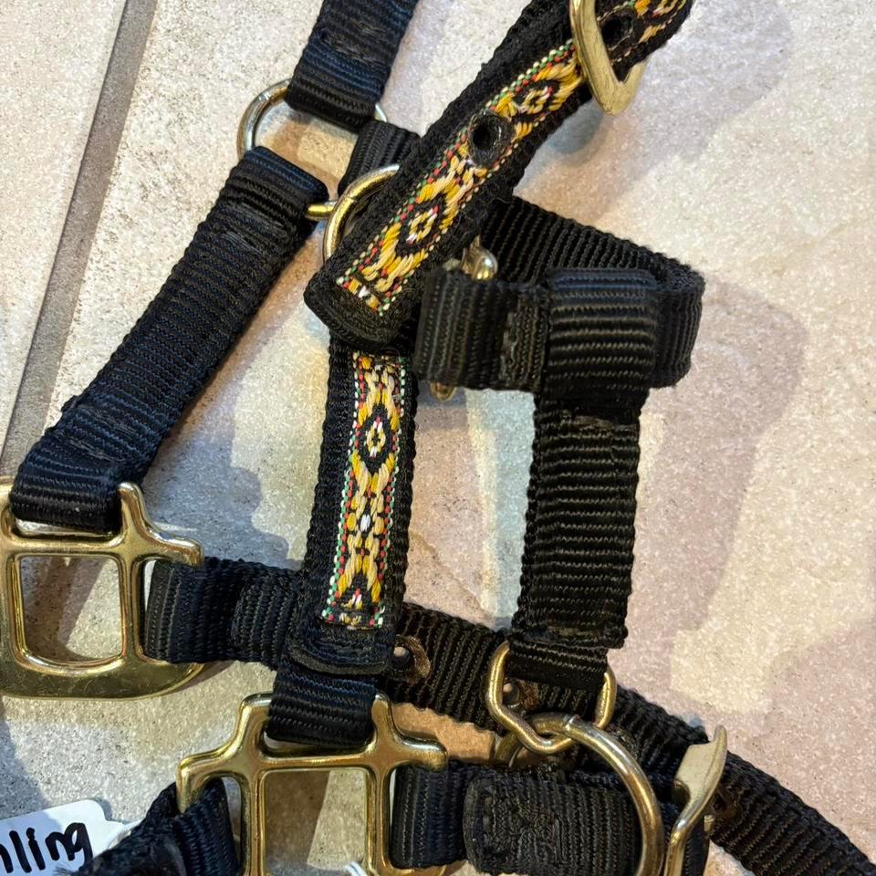 Baby Horse Halters The Pink B037 3
