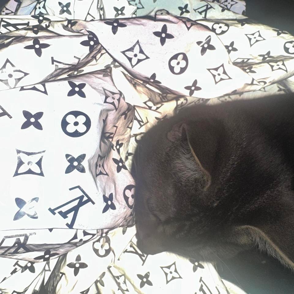 Grey Lv Louis Vuitton Wind 6