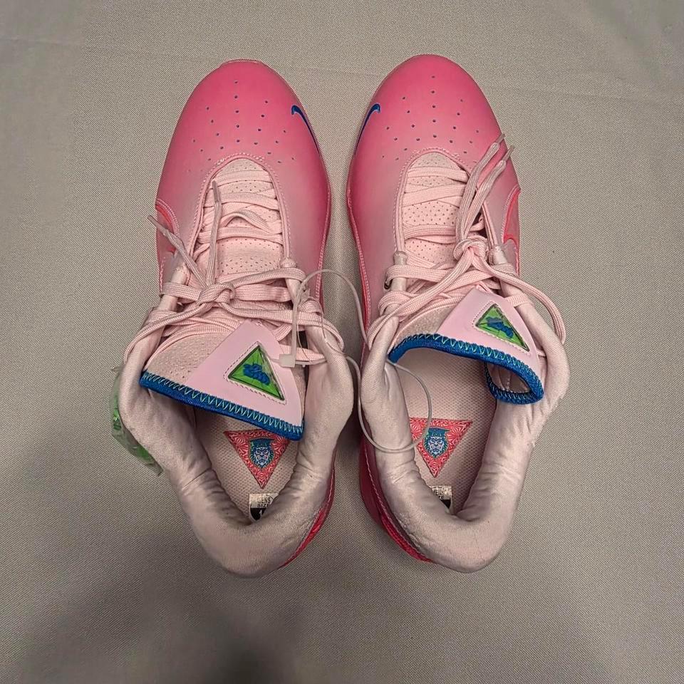 Nike Lebron 22 I Promise 5
