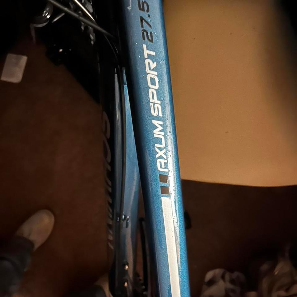 Schwinn Blue Mountain Bike Mountainbike 3c5e 3