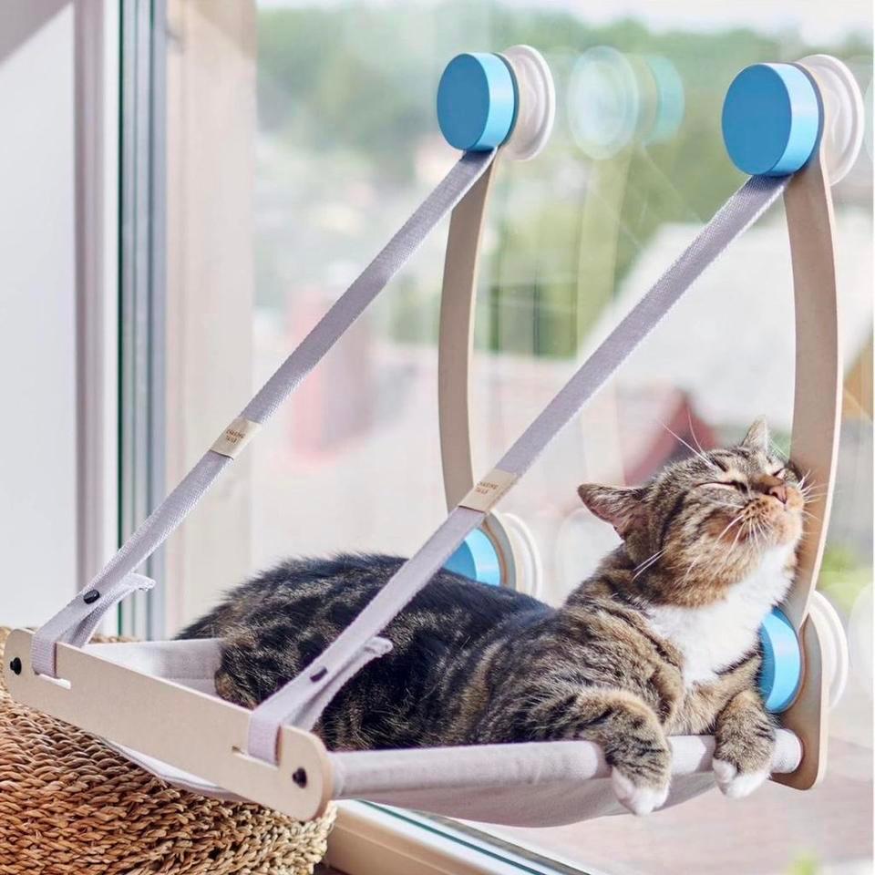 Cat Window Perch Hammock W B86d
