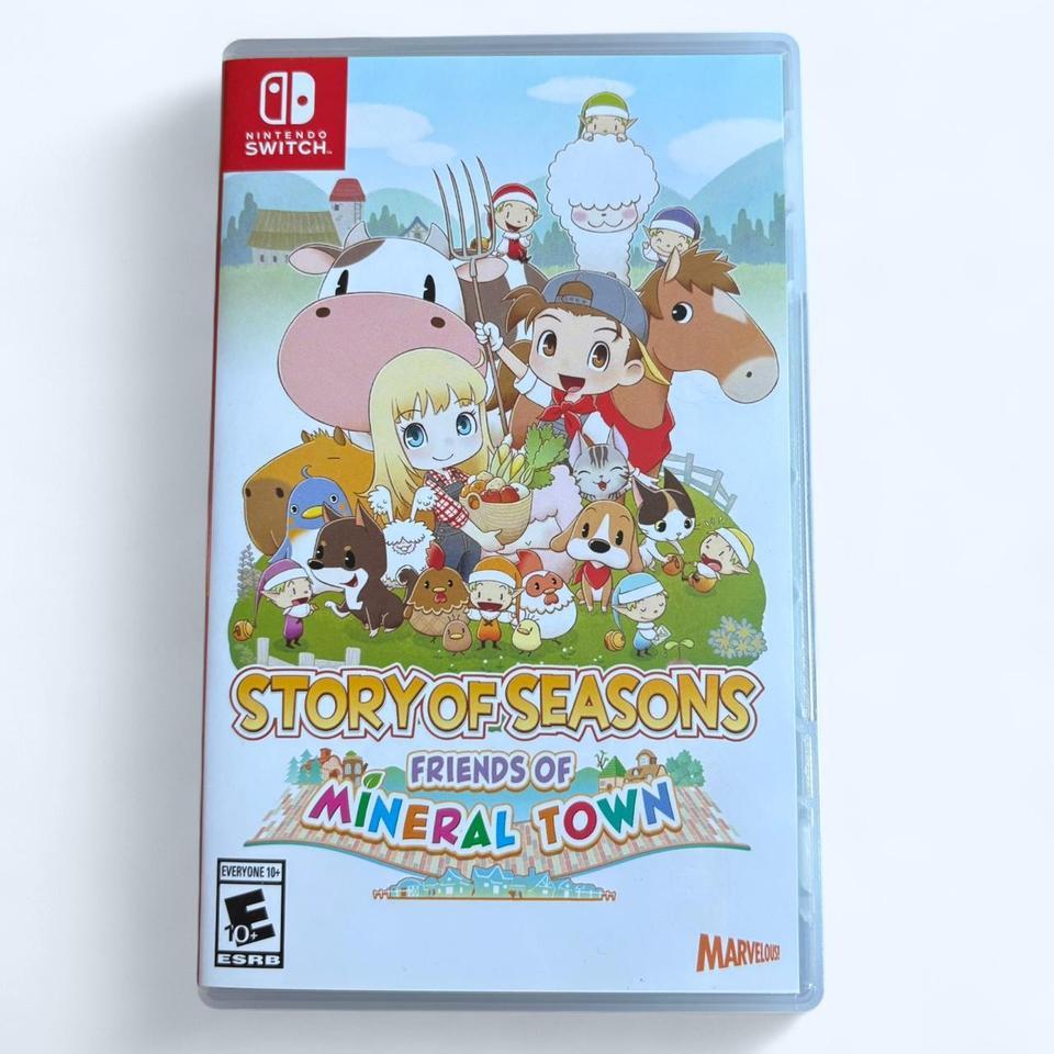 Nintendo Switch Game Story 739b