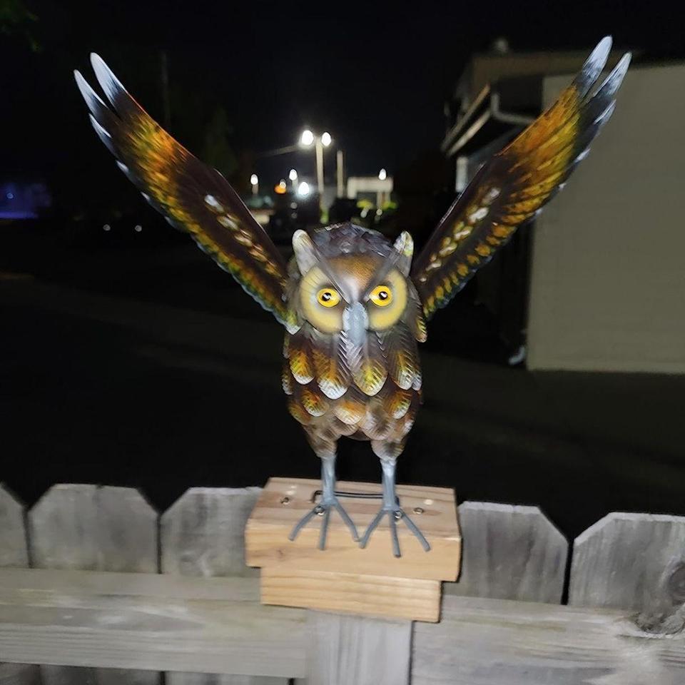 Garden Owl Sculptures Statues B7bd 2